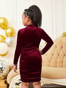 SHEIN Vestido de manga larga elegante y ajustado con cuello alto de terciopelo, con volantes y tachuelas para niña preadolescente