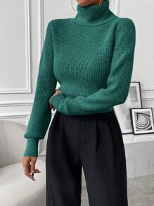 Chiquease Autumn/Winter Casual Solid Color Turtleneck Cropped Sweater