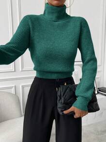 Chiquease Autumn/Winter Casual Solid Color Turtleneck Cropped Sweater