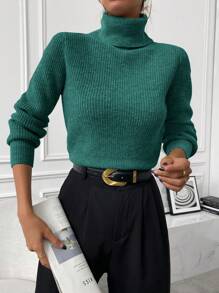 Chiquease Autumn/Winter Casual Solid Color Turtleneck Cropped Sweater