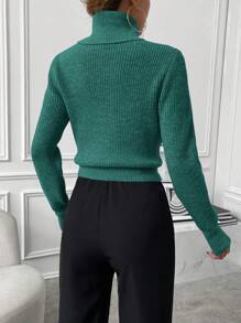 Chiquease Autumn/Winter Casual Solid Color Turtleneck Cropped Sweater