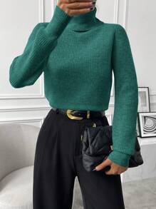 Chiquease Autumn/Winter Casual Solid Color Turtleneck Cropped Sweater