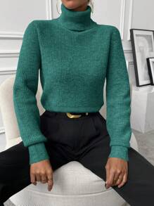 Chiquease Autumn/Winter Casual Solid Color Turtleneck Cropped Sweater
