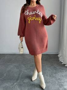 SHEIN LUNE Plus Size Women Solid Color Knit Round Neck Letter Print Long Sleeve Casual Minimalist Sweater Dress, Autumn/Winter Fall Cloth For Women - Multicolor - View 6