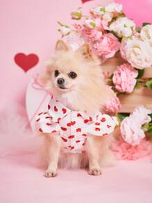 PETSIN Red & White Heart Cute Princess Valentine's Day Dress For Pets, Dogs & Cats - Red and White - View 1