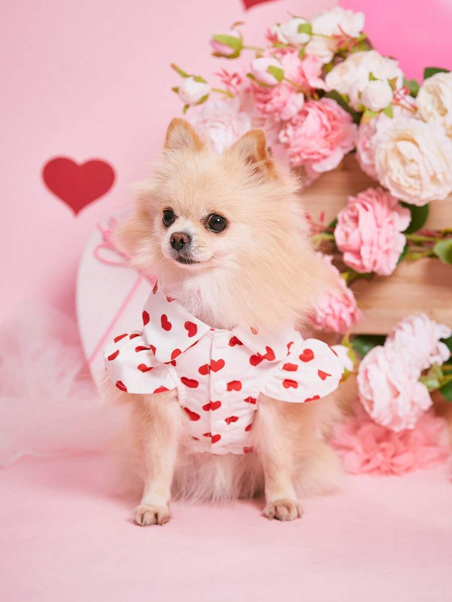PETSIN Red & White Heart Cute Princess Valentine's Day Dress For Pets, Dogs & Cats - Red and White - View 1