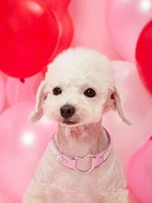 PETSIN 1pc Valentine's Day Heart Pet Collar, Suitable For Small & Medium Dogs And Cats