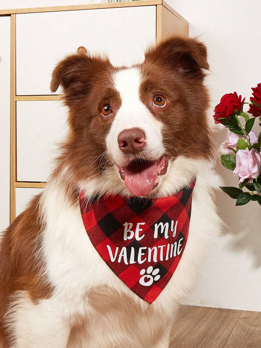 PETSIN Baberos de mascota para el Día de San Valentín, con estampado de tema de AMOR, pañuelos para perros de colores aleatorios - Multicolor - Ver 1