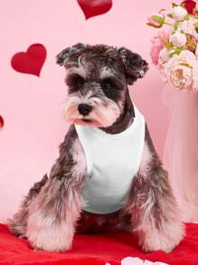 PETSIN 1 件心形气球设计宠物背心，情人节