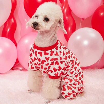 PETSIN Bộ đồ liền thân in hình trái tim cho thú cưng ngày lễ tình nhân