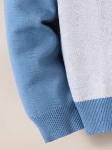 儿童青少年男孩休闲运动猫动物印花圆领针织毛衣，长袖 - 彩色 - 查看 5