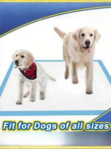 7-Layer Leak-Proof Disposable Dog & Cat Pee Pads | Super Absorbent Quick-Drying Puppy Training Pads | Large Pet Pee Pads For Potty Training, Whelping, Crate & Travel | Odor Control, Waterproof, Washable Alternatives