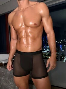Ropa interior sexy para hombres de malla transparente y reveladora