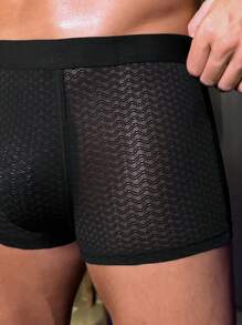 Men's Solid Color Minimalist Semi-Sheer Sexy Underwear, Casual Daily Wear - Black - View 5