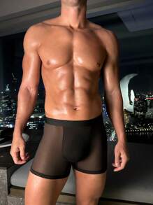 Ropa interior sexy para hombres de malla transparente y reveladora