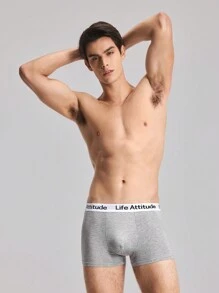 3 pezzi Mutande boxer da uomo con stampa a lettera su patch di colore unito, casual - Multicolore - Visualizzare 8