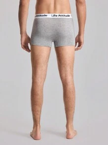 3 pezzi Mutande boxer da uomo con stampa a lettera su patch di colore unito, casual - Multicolore - Visualizzare 2