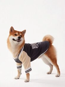 PETSIN 1pc Navy Blue Color Block Baseball Jacket Pet Cardigan - Multicolor - View 3