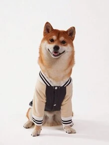 PETSIN 1pc Navy Blue Color Block Baseball Jacket Pet Cardigan - Multicolor - View 5