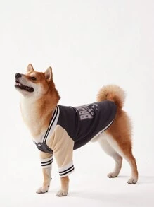PETSIN 1pc Navy Blue Color Block Baseball Jacket Pet Cardigan - Multicolor - View 4