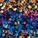 Multicolor