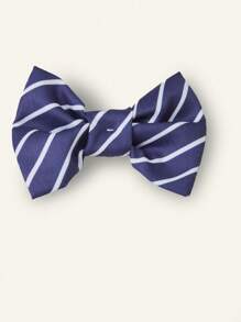 SHEIN 3-Piece Set: Boys Academy Style Collared Shirt, Academy Style Casual Shorts, Embroidered Academy Style Knit Cardigan With Necktie - Navy Blue - View 8