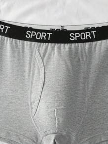 Floral Gray Casual Comfortable Boxer Briefs For Teenage Boys