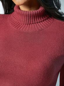 Denimoi Women Plain High Neck Long Sleeve Casual Short Style Top, Daily Wear