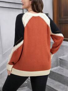 SHEIN LUNE Plus Size Women's Crew Neck Raglan Sleeve Contrast Color Cable Knit Casual Pullover Sweater Knit Pullover Fall Winter - Multicolor - View 2