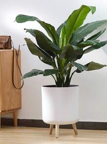 1 Peça Vaso Auto-Irrigante Redondo Clássico com Pés, Vaso Auto-Irrigante com Suporte para Todas as Plantas e Flores de Casa, Irrigar 1 vez pode durar cerca de 15-20 dias, Melhor Escolha para Cuidar de Plantas para Viagens de Curta Duração, Vasos de Pé Modernos com Furos de Drenagem para Plantio Interno e Externo Decorativo, Suporte de Madeira para Vaso de Bonsai (3 Tamanhos), De Volta às Aulas, Natal