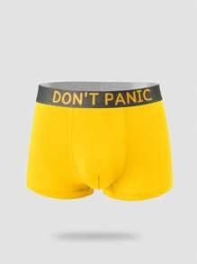 Set de 5 calzoncillos tipo bóxer para chicos adolescentes