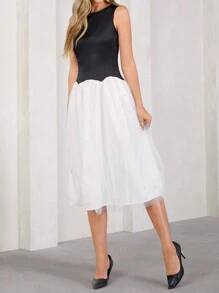 SHEIN Clasi 春夏情人节优雅女士黑白撞色连衣裙，上身采用黑色缎面和白色网眼拼接，收腰连衣裙，适合各种场合穿着 - 黑與白 - 查看 2