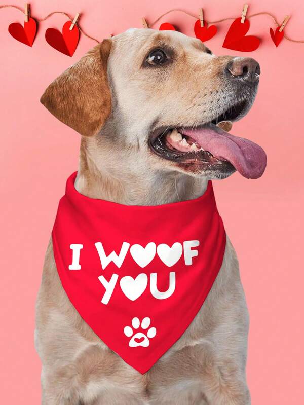 PETSIN Valentine's Day Pet Bib/Bandana With "I Woof You" Letter Print, For Dog