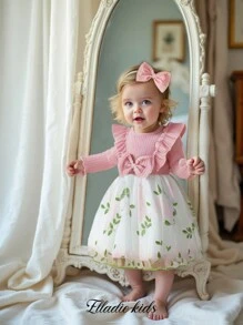 SHEIN Elegant Embroidery Organza Dress For Baby Girl, Occasion Wear