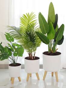 1 Peça Vaso Auto-Irrigante Redondo Clássico com Pés, Vaso Auto-Irrigante com Suporte para Todas as Plantas e Flores de Casa, Irrigar 1 vez pode durar cerca de 15-20 dias, Melhor Escolha para Cuidar de Plantas para Viagens de Curta Duração, Vasos de Pé Modernos com Furos de Drenagem para Plantio Interno e Externo Decorativo, Suporte de Madeira para Vaso de Bonsai (3 Tamanhos), De Volta às Aulas, Natal