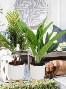 1 Peça Vaso Auto-Irrigante Redondo Clássico com Pés, Vaso Auto-Irrigante com Suporte para Todas as Plantas e Flores de Casa, Irrigar 1 vez pode durar cerca de 15-20 dias, Melhor Escolha para Cuidar de Plantas para Viagens de Curta Duração, Vasos de Pé Modernos com Furos de Drenagem para Plantio Interno e Externo Decorativo, Suporte de Madeira para Vaso de Bonsai (3 Tamanhos), De Volta às Aulas, Natal