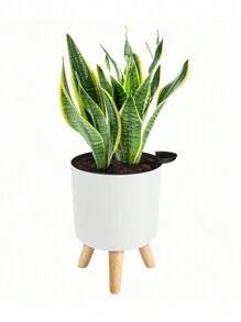 1 Peça Vaso Auto-Irrigante Redondo Clássico com Pés, Vaso Auto-Irrigante com Suporte para Todas as Plantas e Flores de Casa, Irrigar 1 vez pode durar cerca de 15-20 dias, Melhor Escolha para Cuidar de Plantas para Viagens de Curta Duração, Vasos de Pé Modernos com Furos de Drenagem para Plantio Interno e Externo Decorativo, Suporte de Madeira para Vaso de Bonsai (3 Tamanhos), De Volta às Aulas, Natal