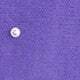 Violet Purple
