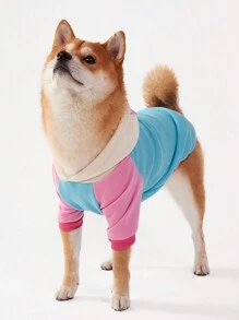 PETSIN 1 pieza Sudadera con capucha casual para perro de manga raglán con empalme de tres colores, en rosa, menta y azul - Multicolor - Ver 3