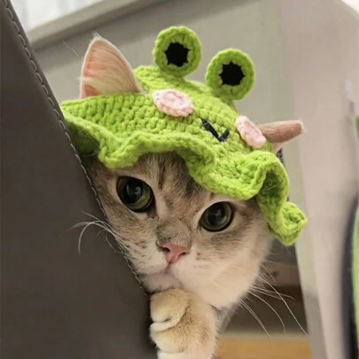 1PC Frog Knitted Pet Hat Adorable Cartoon Cat Cap For Small Dogs Cats Handmade Knit Headgear Cozy Stylish Pet Accessory Soft Warm Winter Photo Shoot Costume Party Christmas Halloween Outfit Fashion Cute Puppy Kitten Apparel Gift Idea Pet Lovers