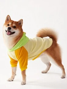 PETSIN 1 pièce sweat-shirt à capuche décontracté pour chien de compagnie avec design blocs de couleurs, jaune clair, jaune terre, vert fluorescent