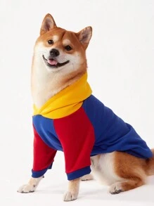 1 件 PETSIN 宠物狗拼色插肩袖休闲连帽衫