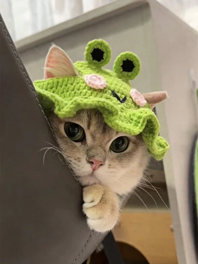 1 peça chapéu de malha de sapo para animais de estimação adorável boné de gato de desenho animado para cães pequenos gatos chapéu de malha feito à mão acessório de animal de estimação aconchegante e estiloso macio quente inverno sessão de fotos fantasia festa natal roupa de halloween moda filhote fofo gatinho roupa ideia de presente amantes de animais de estimação