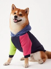 1 pieza Sudadera con capucha para mascotas de PETSIN en diseño de mangas raglán en bloques de color azul marino, rosa, azul y verde fluorescente, ropa casual para mascotas - Multicolor - Ver 2