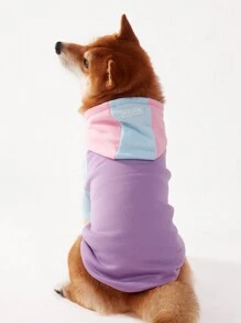 PETSIN 1pc Tricolor Contrast Raglan Sleeve Casual Hoodie Sweatshirt For Pets - Multicolor - View 2