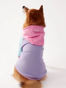 1 pièce sweat-shirt à capuche pour chien PETSIN, design à manches raglan blocs de couleurs, multicolore: rose, violet, bleu, vert - Multicolore - Voir 3