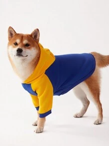PETSIN 1pc Casual Yellow & Blue Colorblock Raglan Sleeve Pet Hoodie Sweatshirt, Suitable For Dogs - Multicolor - View 3