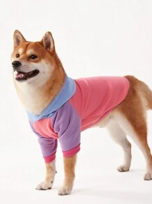 PETSIN 1 chiếc áo hoodie nỉ màu cho chó cưng, quần áo thường ngày cho thú cưng có tay áo Raglan - Nhiều màu - Xem 3