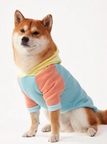 PETSIN 1PC Pet Dog Mint Green Yellow Orange Color Block Pullover Hoodie With Raglan Sleeve, Casual Design - Multicolor - View 3