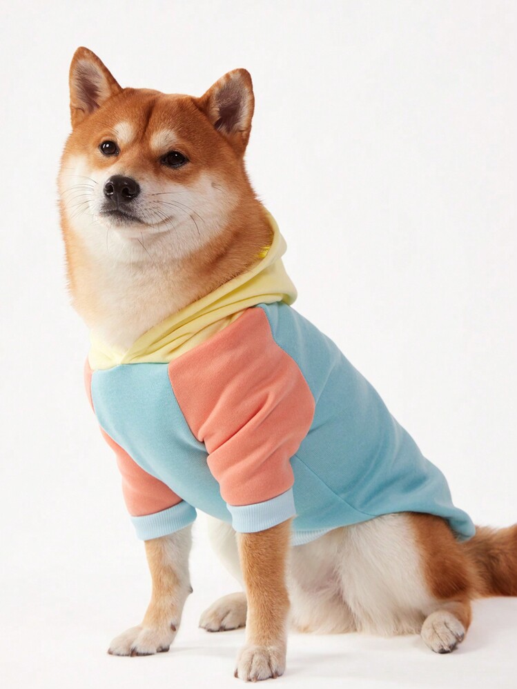 PETSIN 1PC Pet Dog Mint Green Yellow Orange Color Block Pullover Hoodie With Raglan Sleeve, Casual Design - Multicolor - View 3